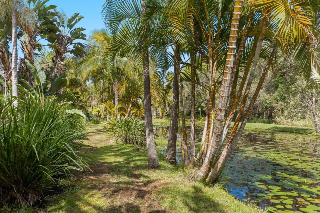 ביירון ביי Treetops Lakeside Apartments מראה חיצוני תמונה
